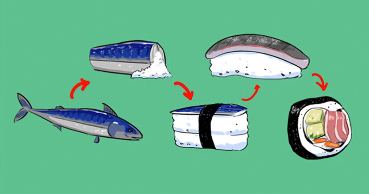 Эволюция суши