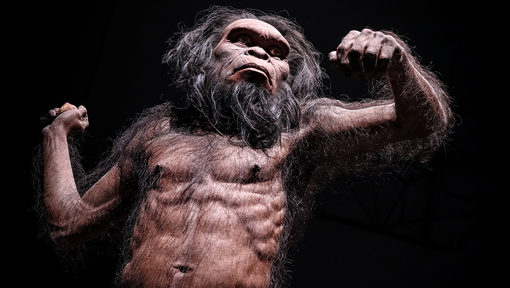     Фото: AKKHARAT JARUSILAWONG/Shutterstock/FOTODOM