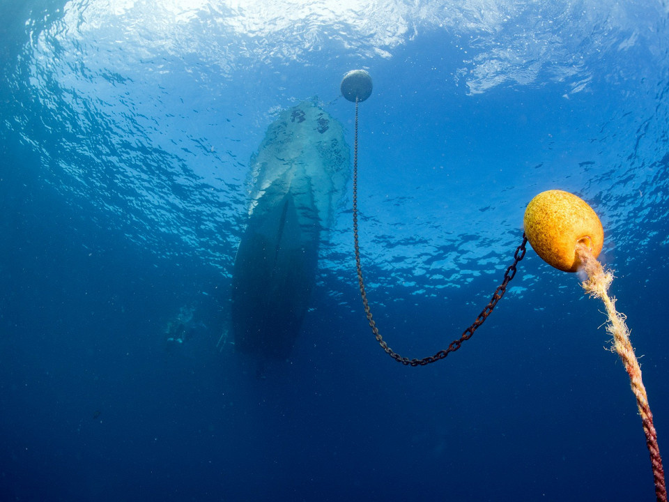 Andrea Izzotti / Shutterstock.com
