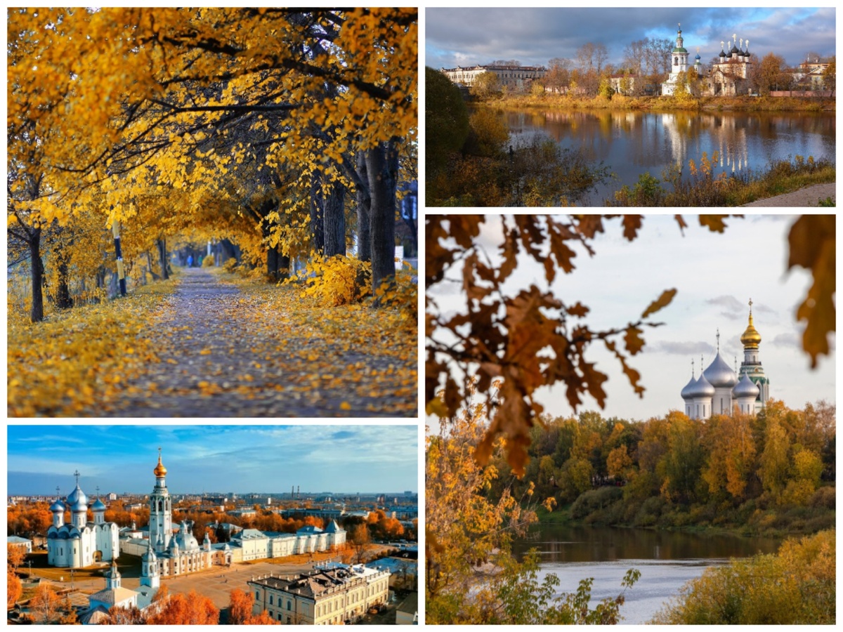 Коллаж из фото, найденных на тех самых "просторах"...