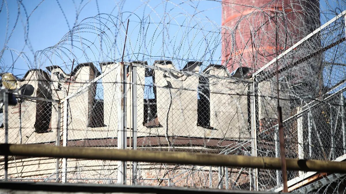    Фото: vm.ru Мария Михайлова