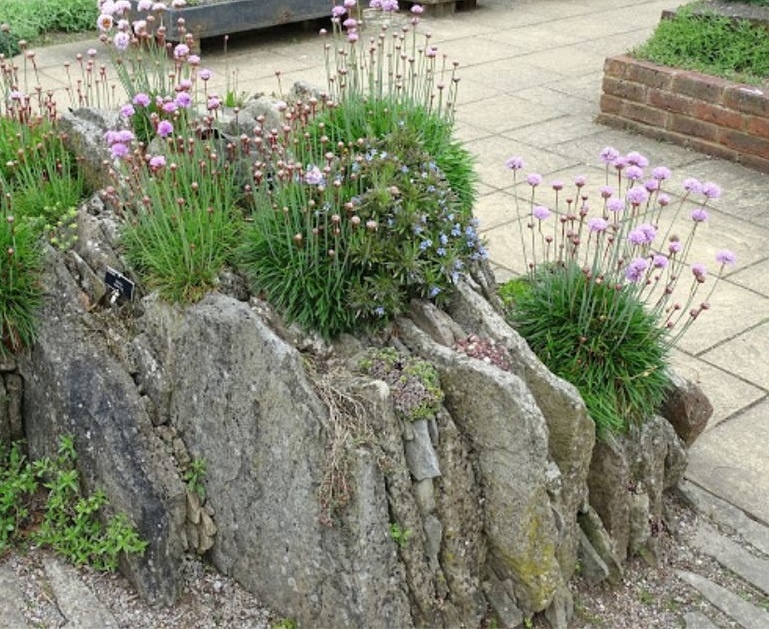 Фото из интернета