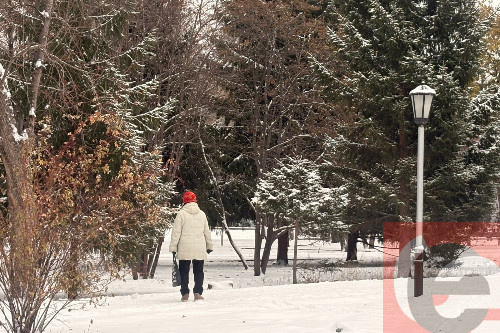    Фото: Прецедент