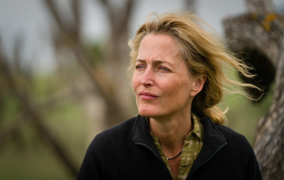 Кадр: Кинопоиск 