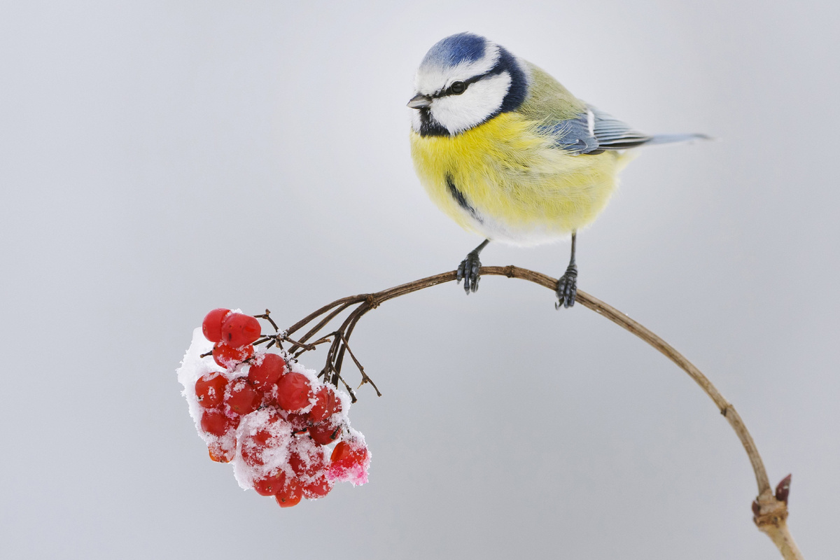 фото: imago stock&peopleGlobal Look Press