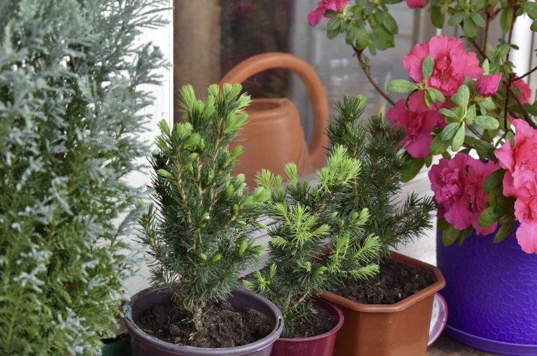 Фото прислал читатель