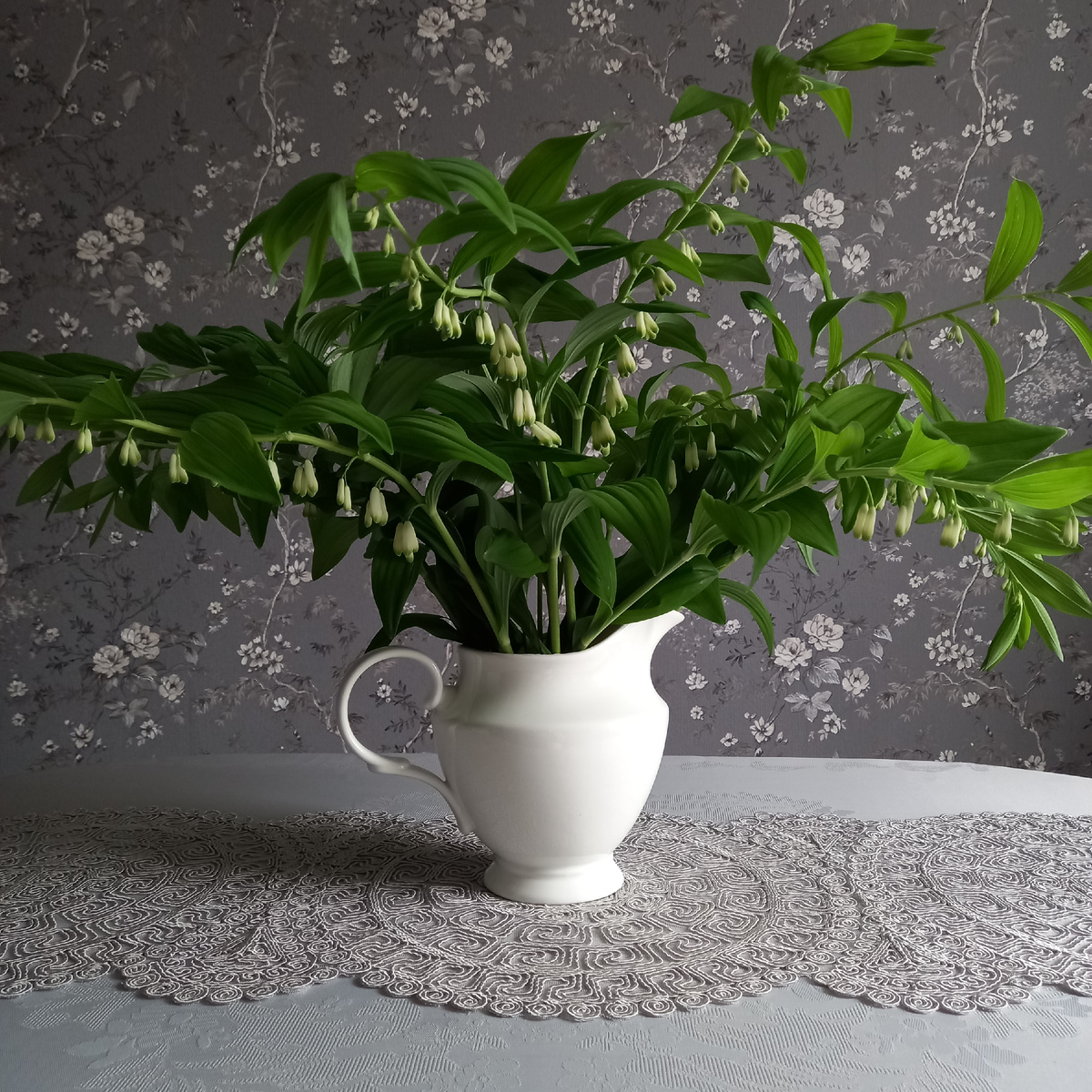 Купена в кувшине