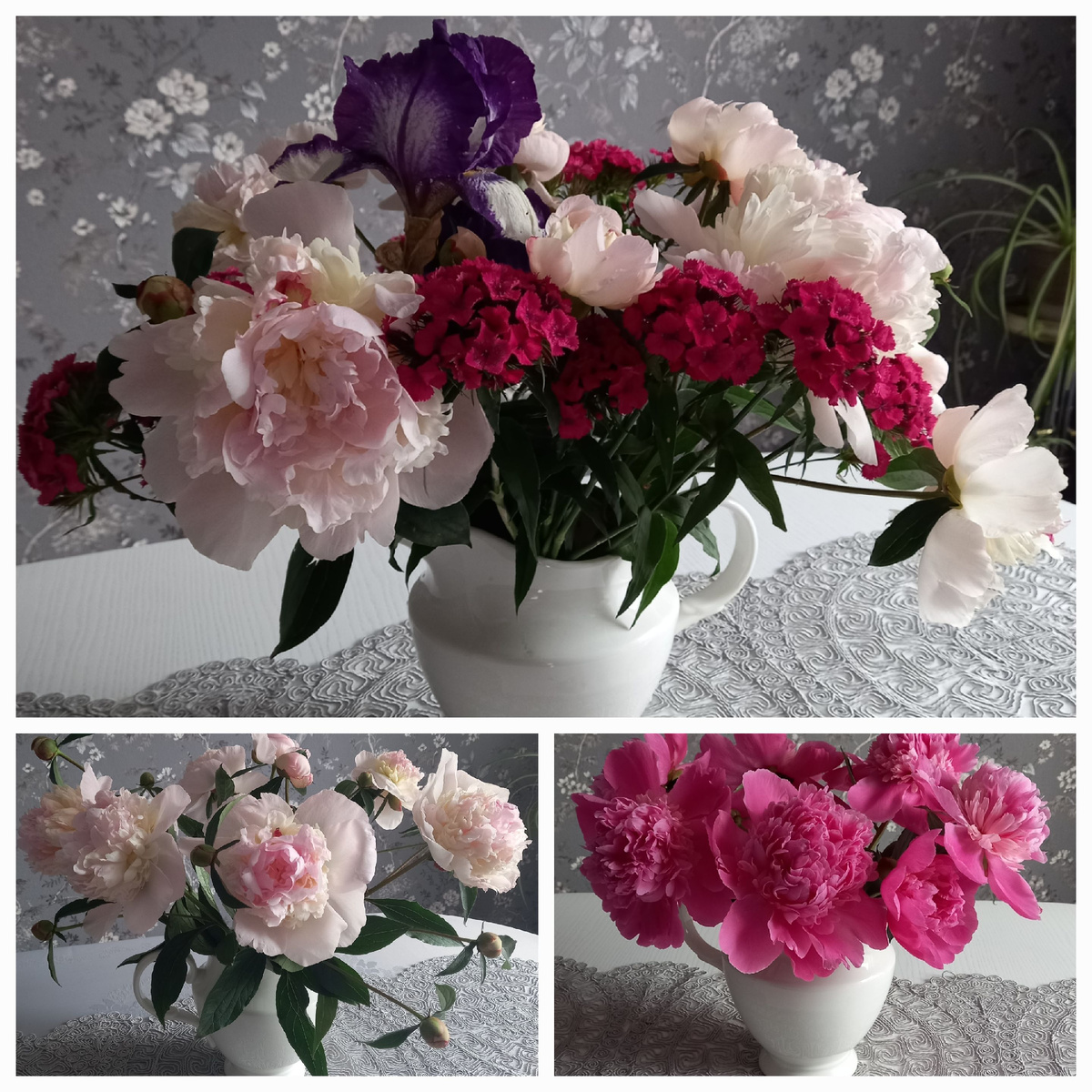 Пионы, ирис и турецкая гвоздика