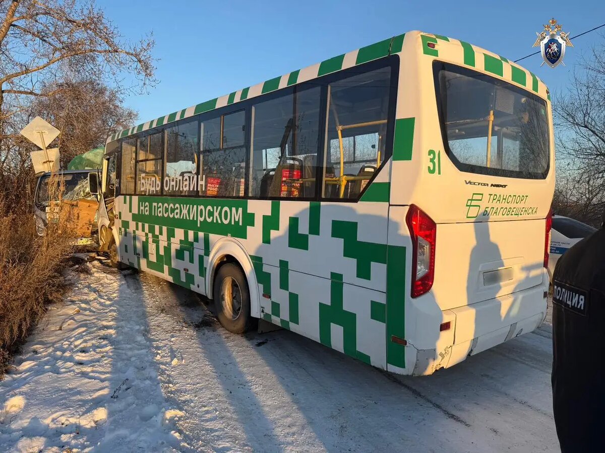     © СУ СК России по Амурской области