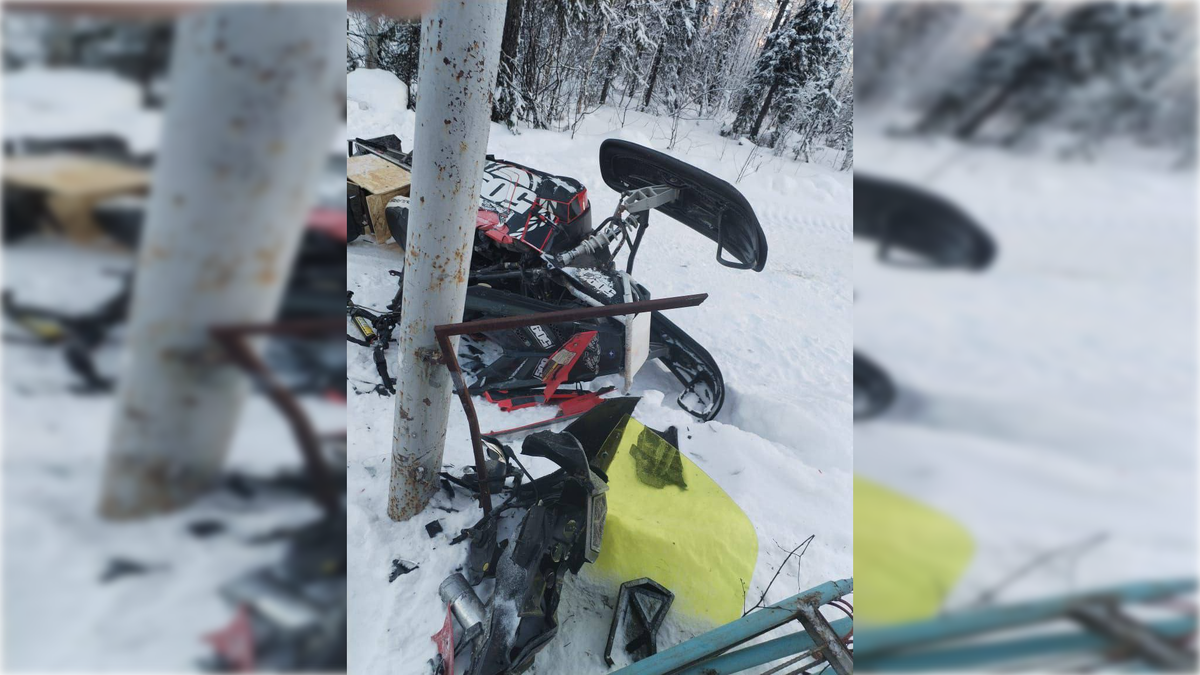 Фото: t.me/mvd_24