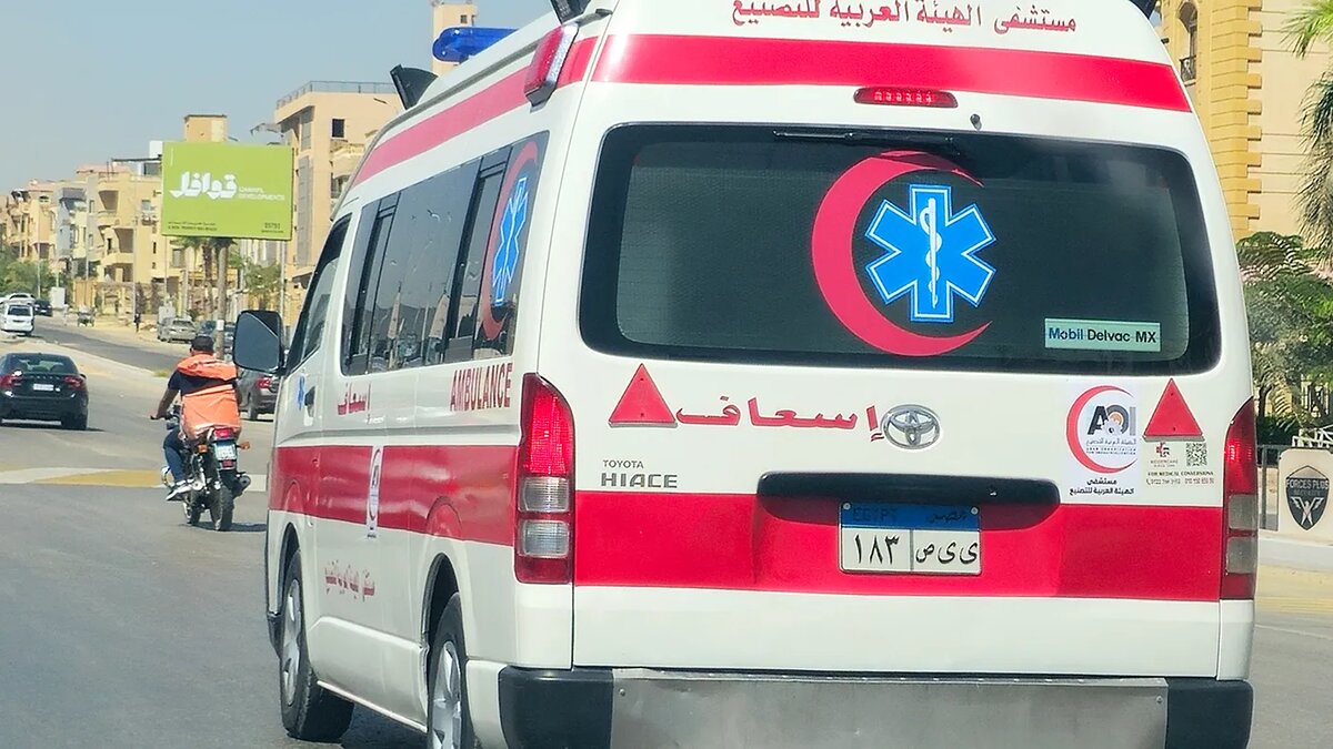   Tamer / Adobe Stock- Архивное фото