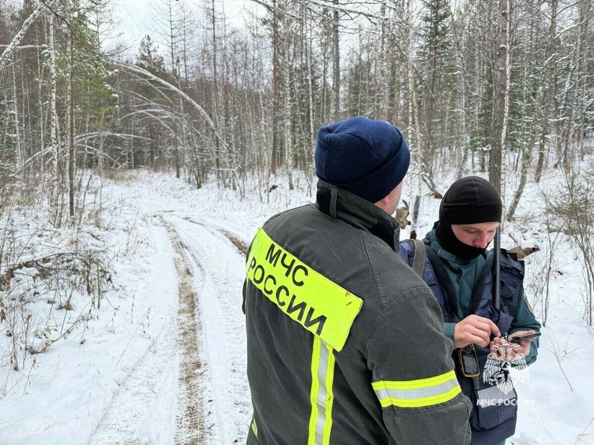    Сотрудники МЧС во время поисково-спасательных работ в Красноярском крае© Фото : ГУ МЧС России по Красноярскому краю