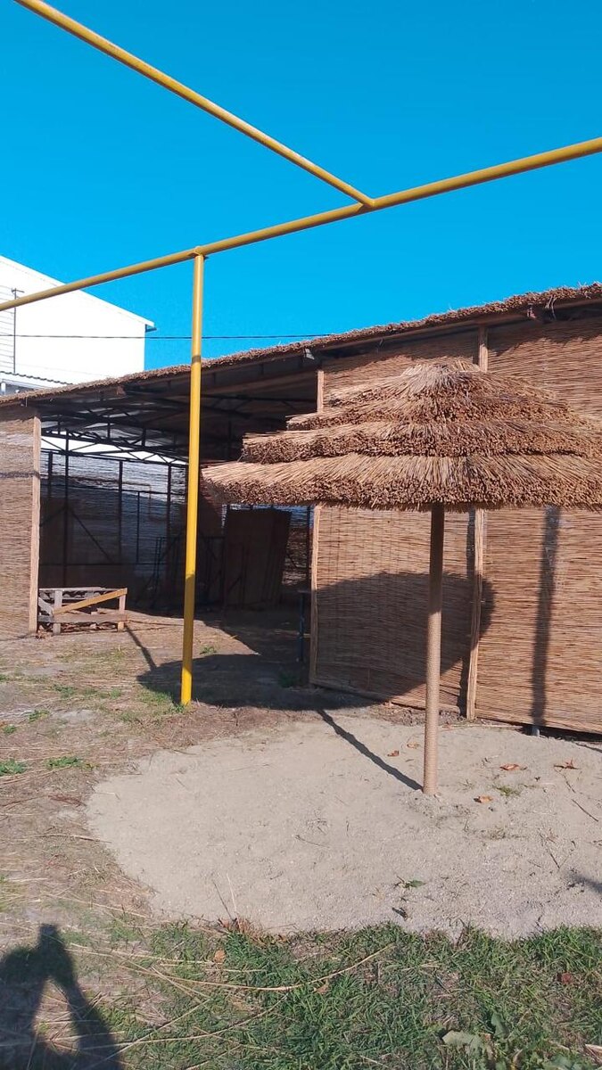 камышовый зонт ВУДХЭД