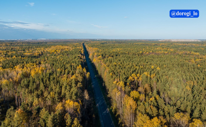    © Telegram-канал Dorogi_lo
