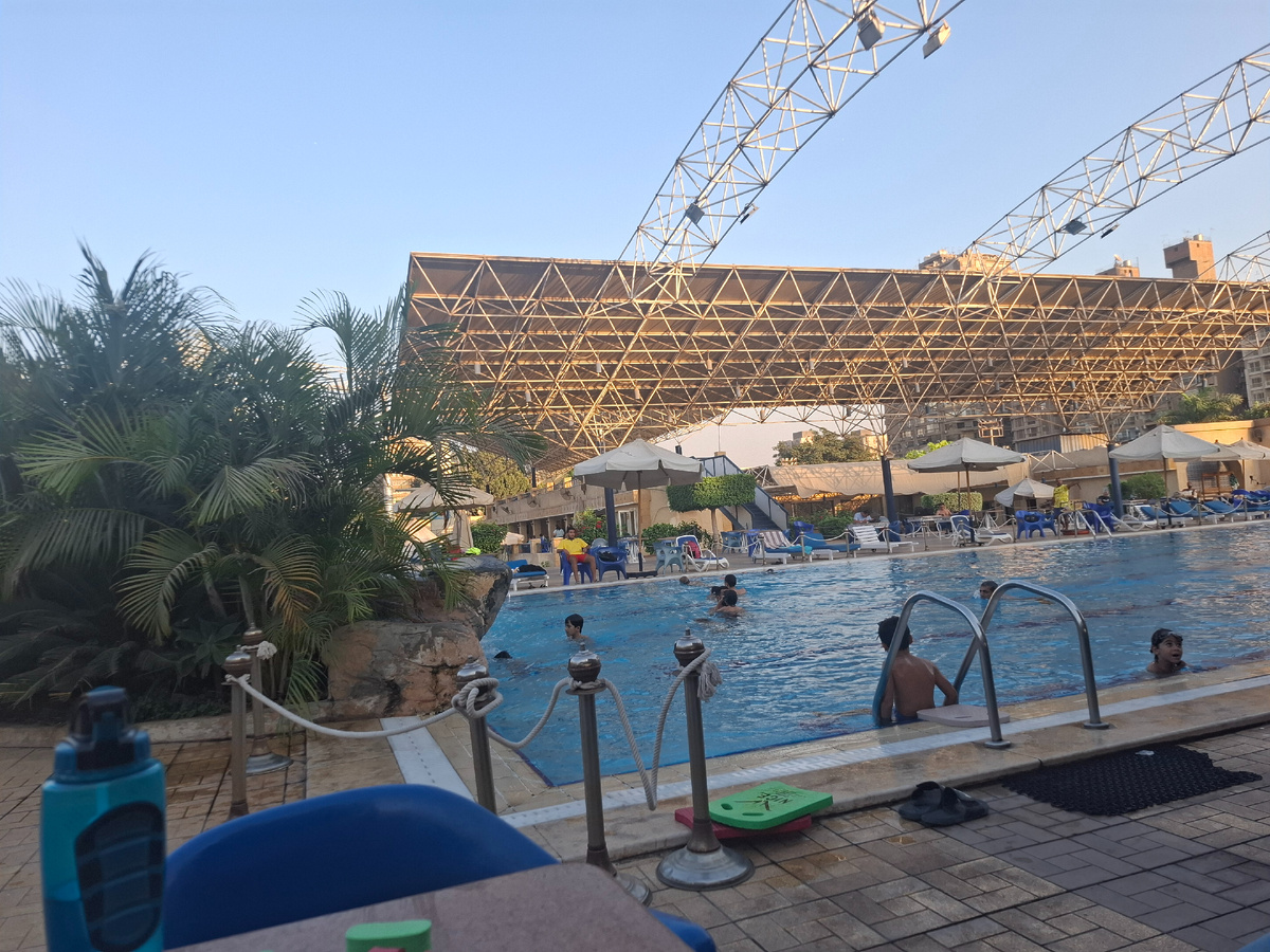 Это вчера вывела своих в бассейн покупаться, пока погода хорошая. 