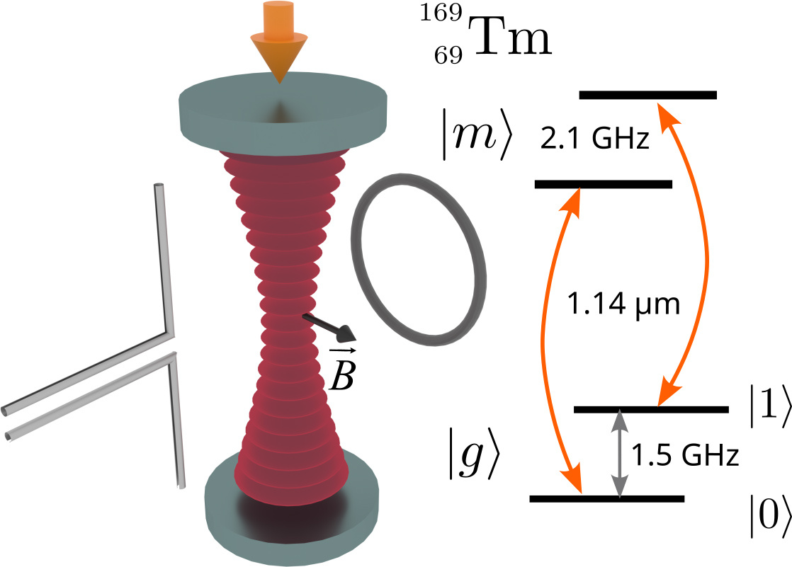    Упрощенная схема эксперимента и структура кубитных состояний атомов тулия