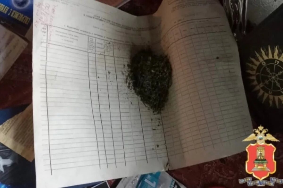    Деревенский житель Тверской области хранил дома крупную партию наркотиков