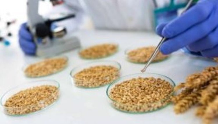    Фото: Управление Россельхознадзора по Орловской и Курской областям