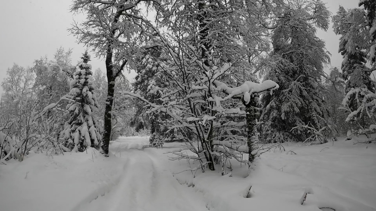 а вот и снег