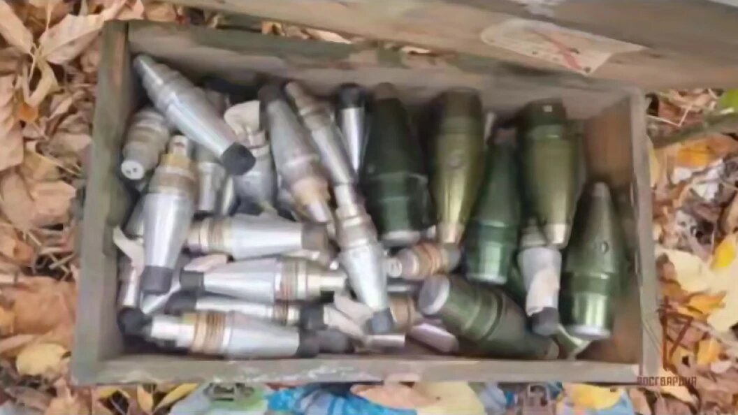    ФОТО: кадр видео Росгвардии.