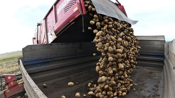    © Sputnik / Илья Наймушин