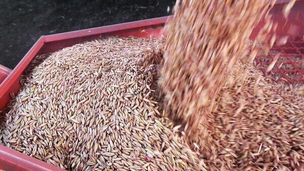    © Sputnik / Илья Наймушин