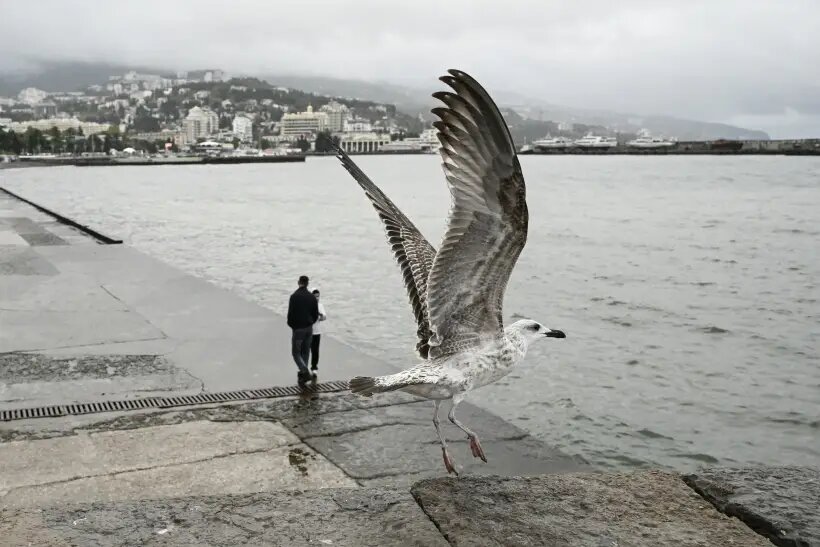     © РИА Новости. Константин Михальчевский