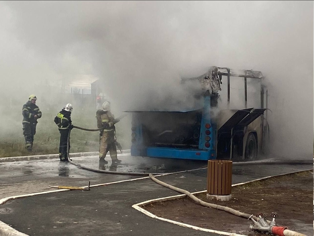    © ТГ-канал Ольги Андриановой