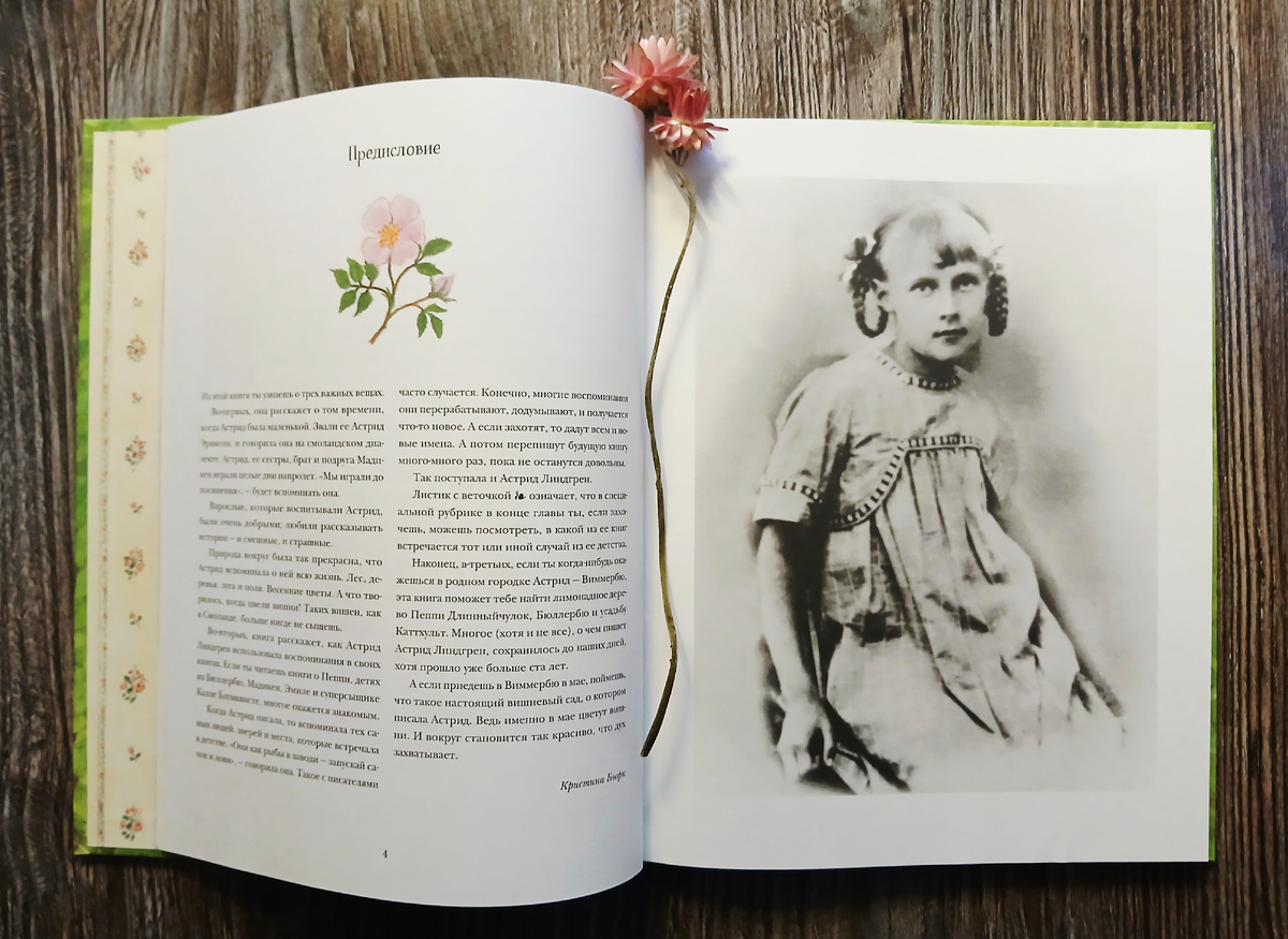 К. Бьорк, Э. Эриксон "Детство Астрид", Издательство "Белая ворона", 2020 г. Фото автора статьи.