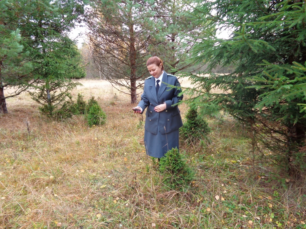 Более 4 тысяч гектаров спасли от зарастания в Тверской области