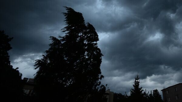    © РИА Новости . Константин Чалабов