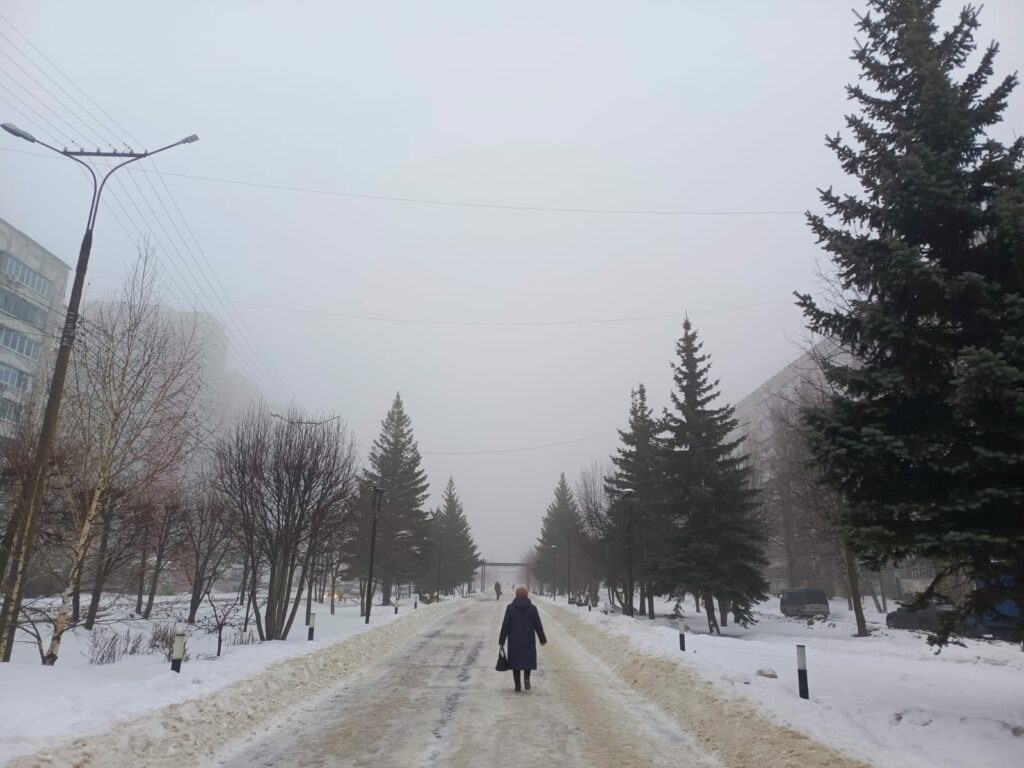    Алена Федорова