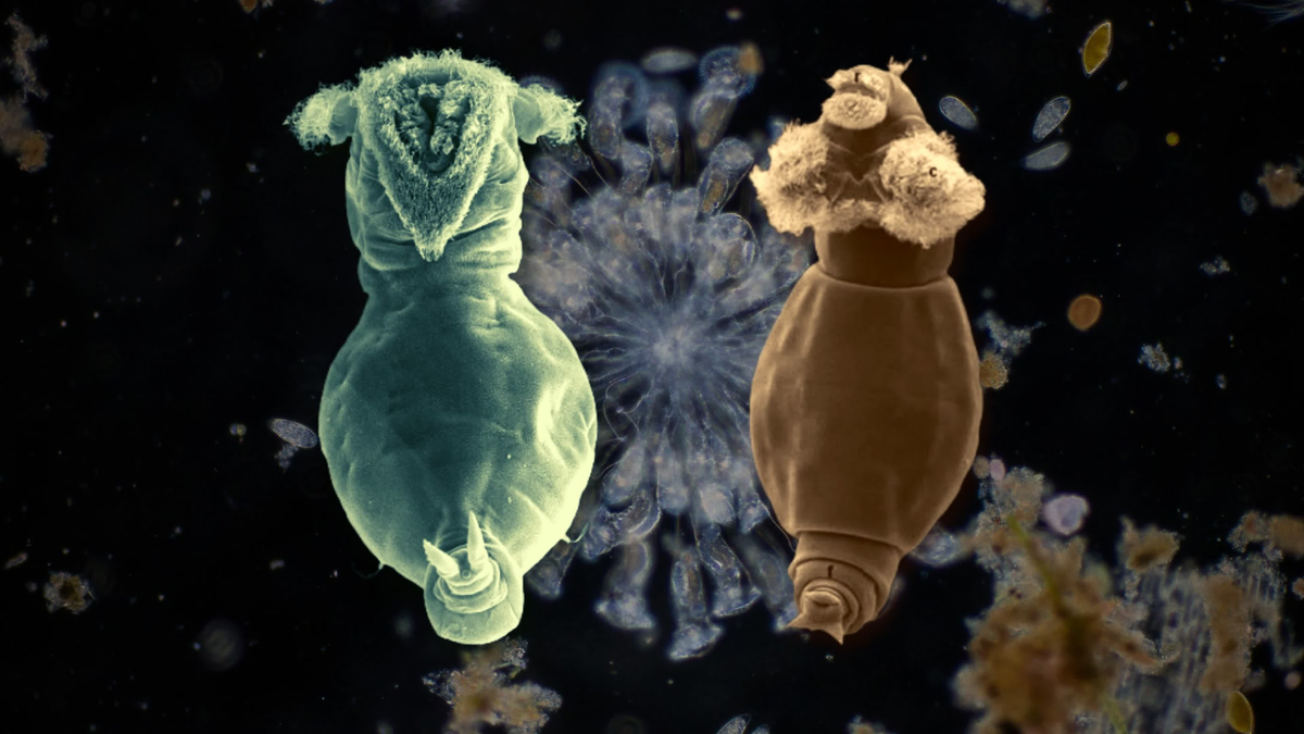 Ребята, уберите камеры, мы не одеты! 