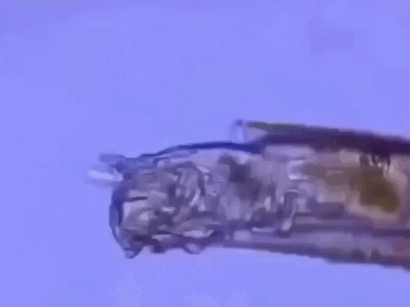 Игра началась! 