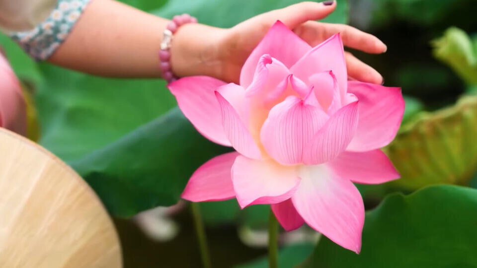 ФОТО: Кадр из программы "Невероятно интересные истории", РЕН ТВ