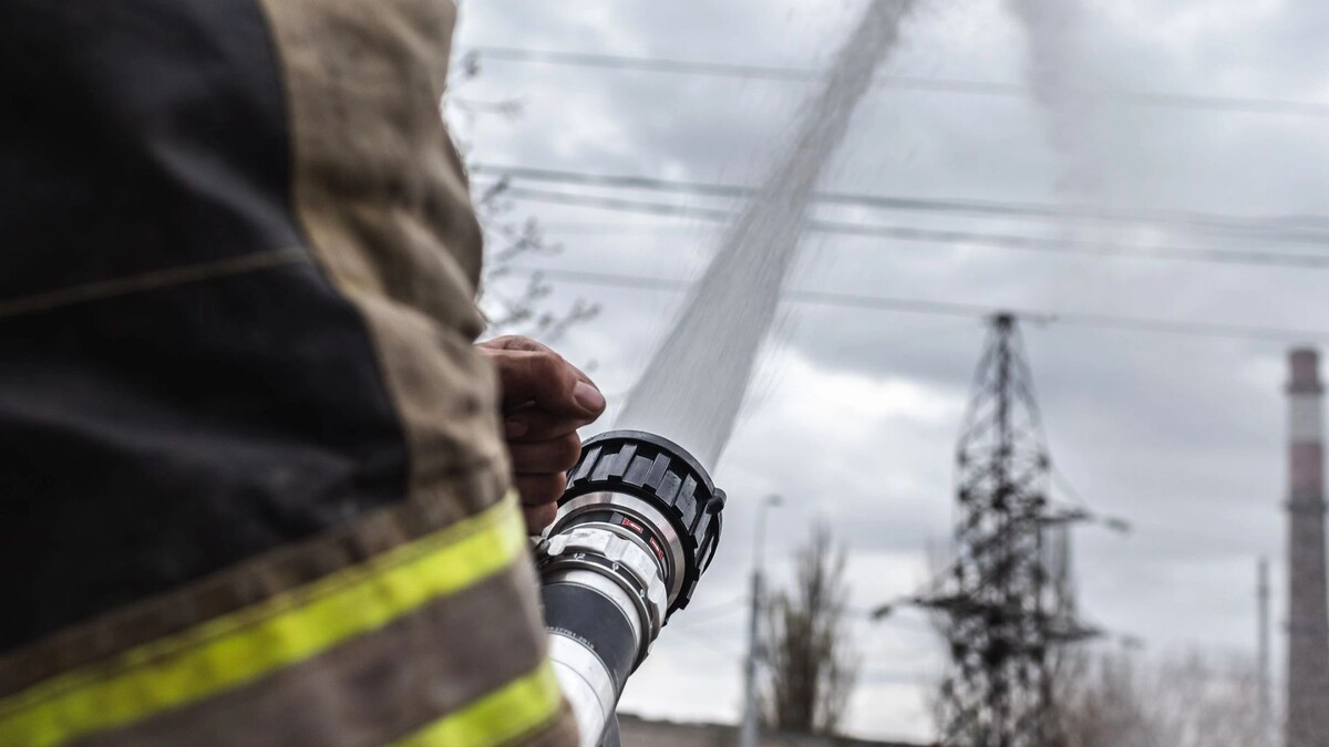    Фото: Яковлев Михаил/Shutterstock/Fotodom