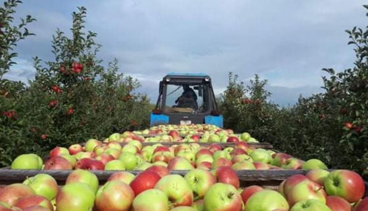    Фото: Правительство Тамбовской области