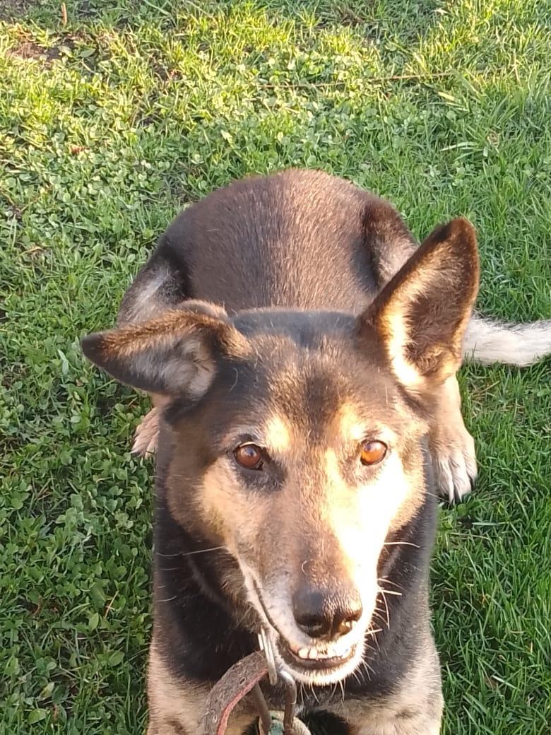 Фото автора.