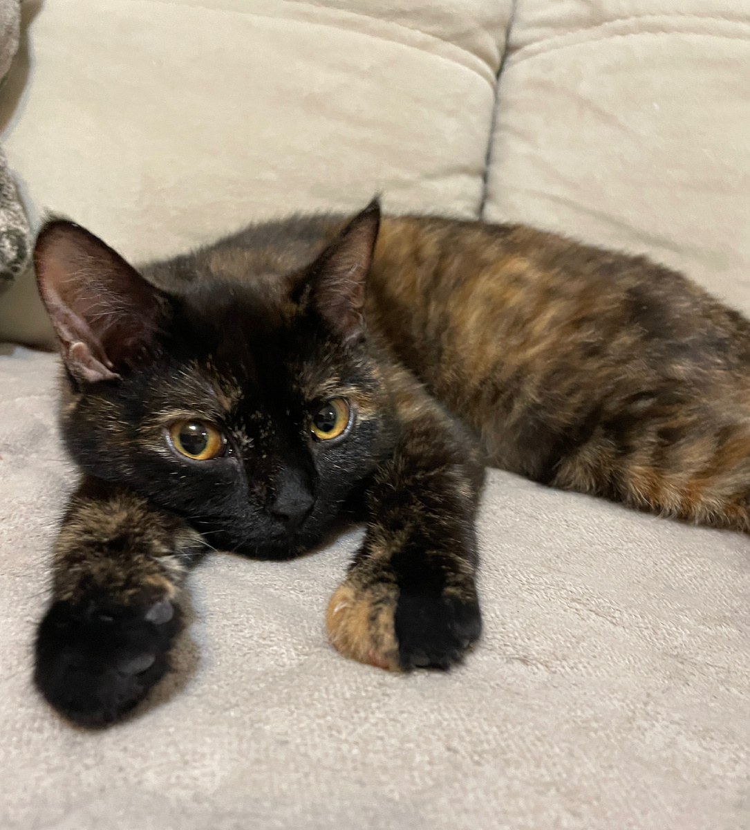 Злыдня Масяня