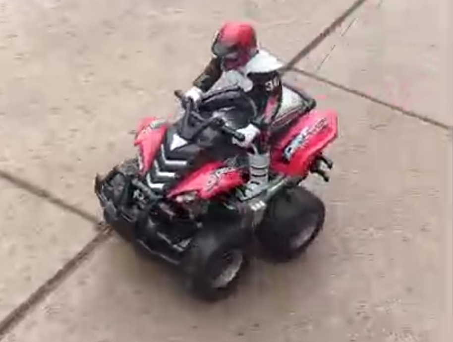 Фото автора статьи.