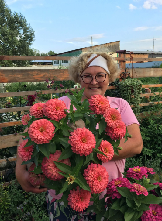 Те самые циннии от Партнера, которые я выращиваю два сезона подряд