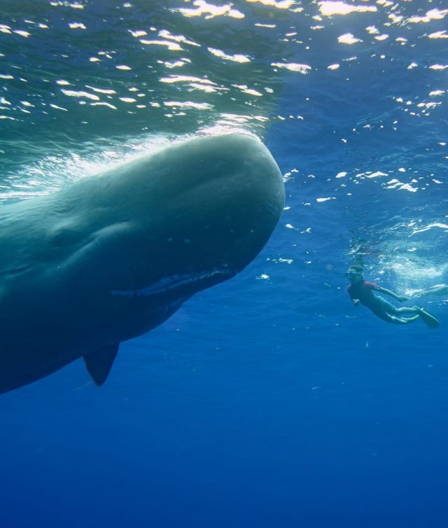    Фото: социальные сети Анастасии Решетовой
