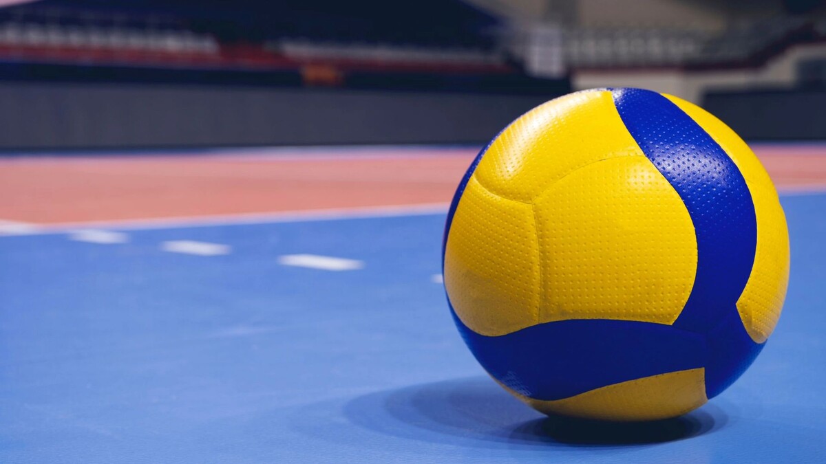    Фото: Скарк/Shutterstock/Fotodom