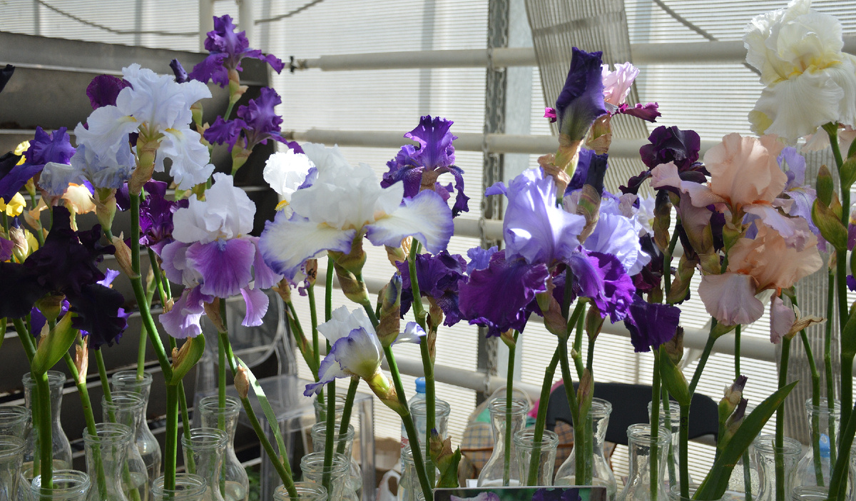 Все фотографии в статье мои