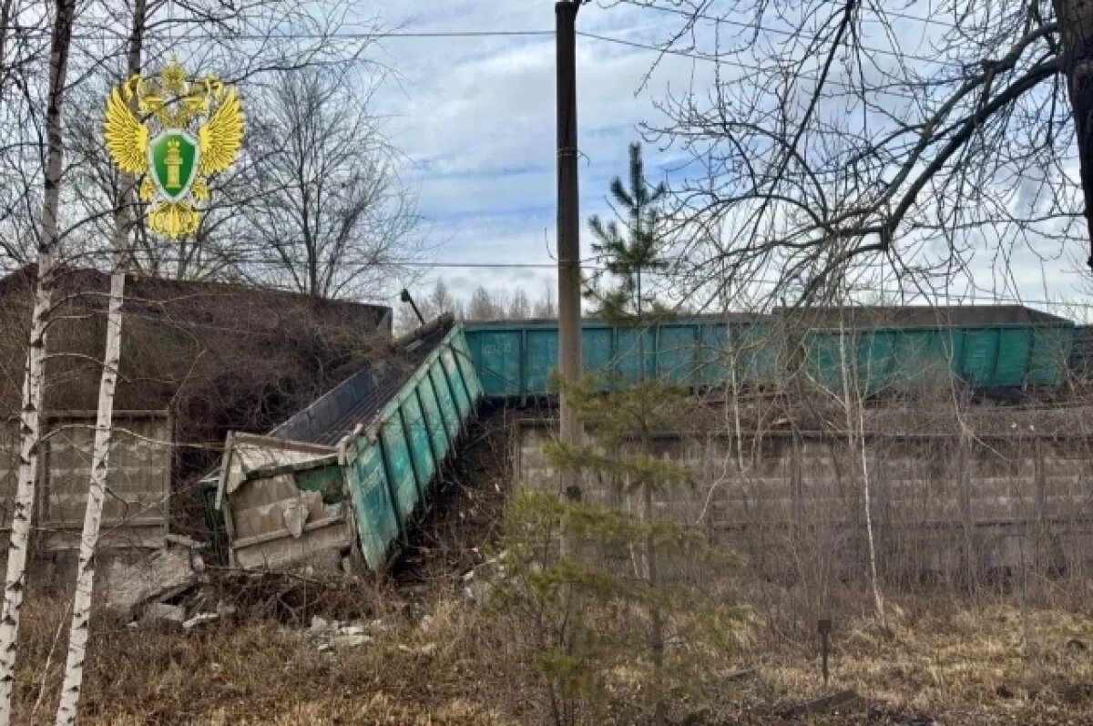    В Челябинске расследуют сход с рельсов 19 вагонов грузового поезда