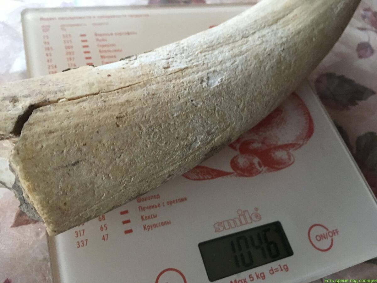 Сосед даже попросил меня взвесить его «мамонта» на кухонных весах. Поскольку своих весов у него нет...