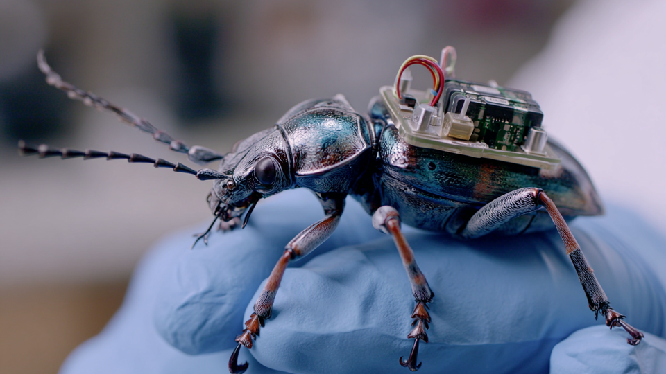 Фото: © РЕН ТВ