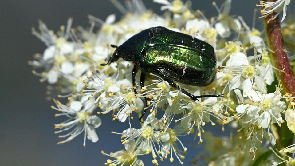 ФОТО: РИА Новости/Илья Наймушин