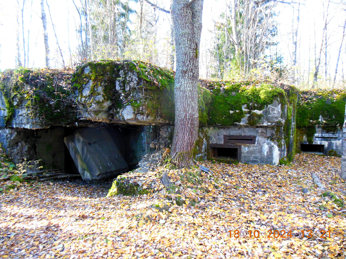 Дот  Sк-2 фото автора канала 