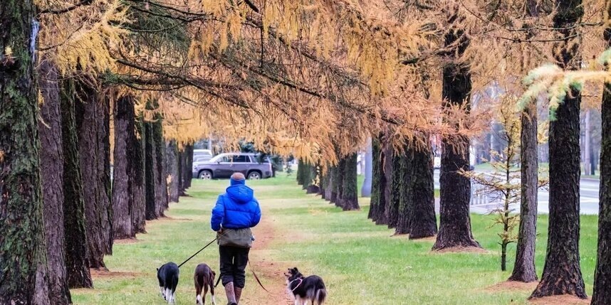    Алена Бобрович